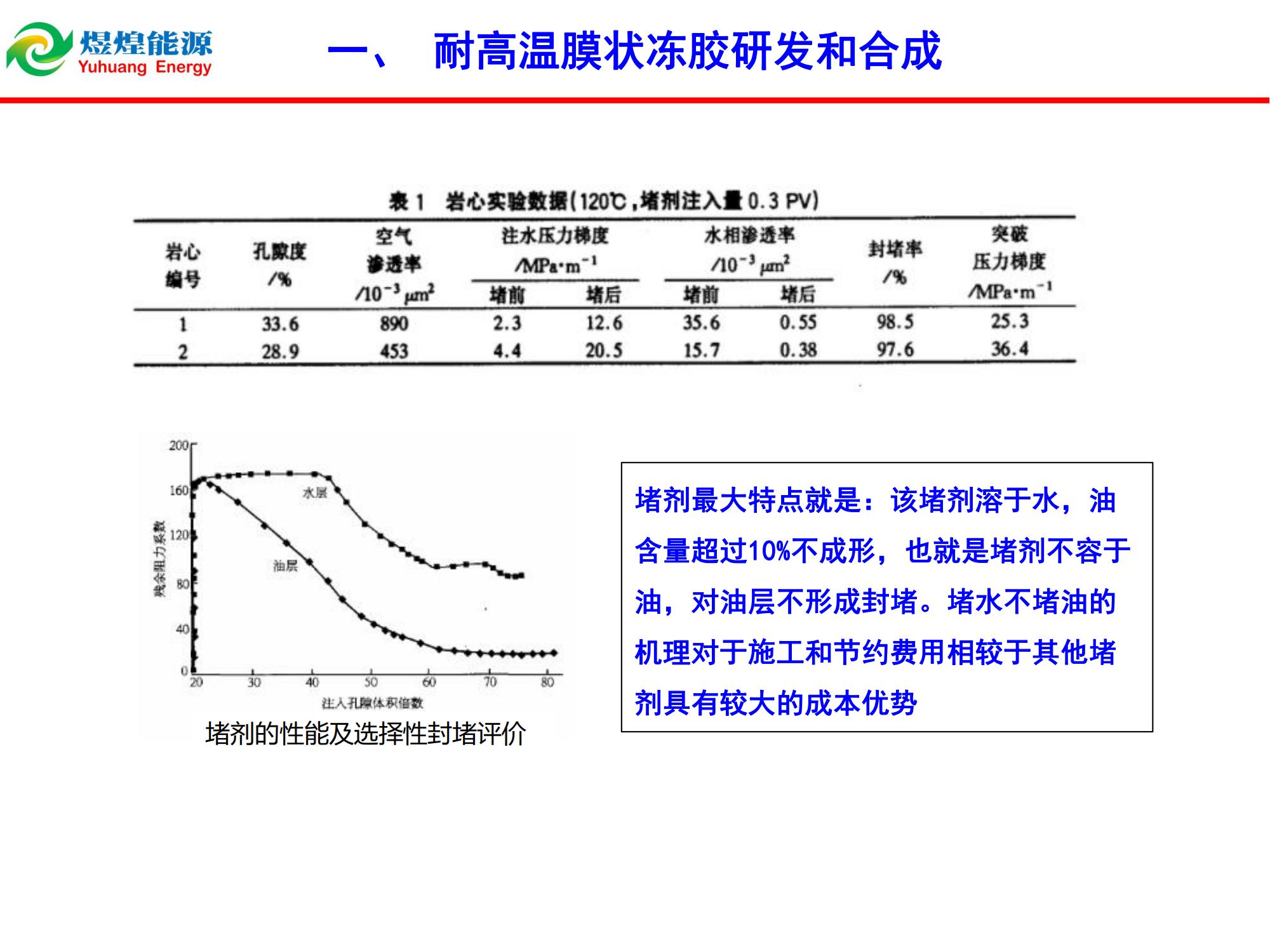 耐高溫膜狀凍膠堵水技術(shù)-修改_02.jpg